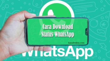 Download Status WhatsApp