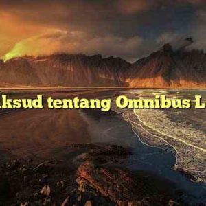 Maksud tentang Omnibus Law