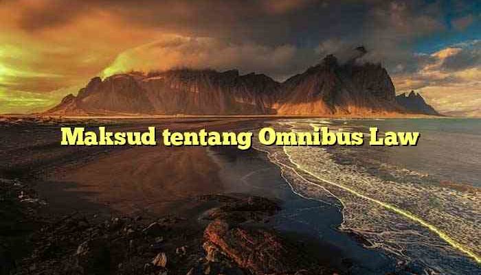Maksud tentang Omnibus Law
