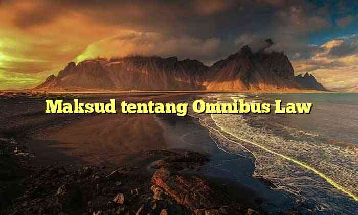 Maksud tentang Omnibus Law