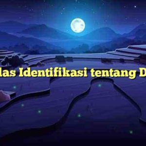 Sekilas Identifikasi tentang Drone