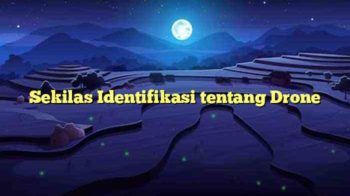 Sekilas Identifikasi tentang Drone