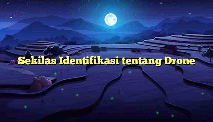 Sekilas Identifikasi tentang Drone