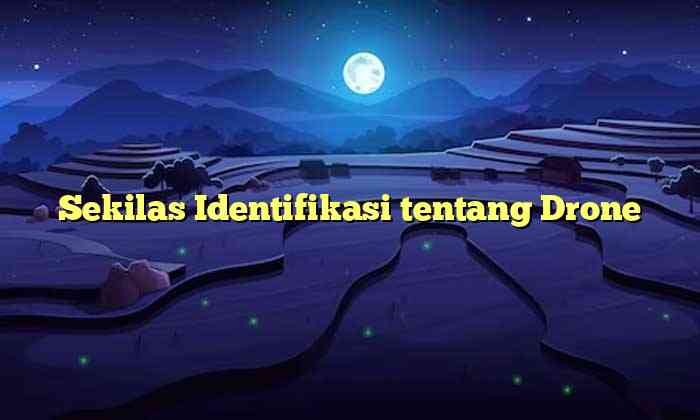 Sekilas Identifikasi tentang Drone