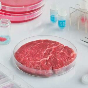 lab grown meats