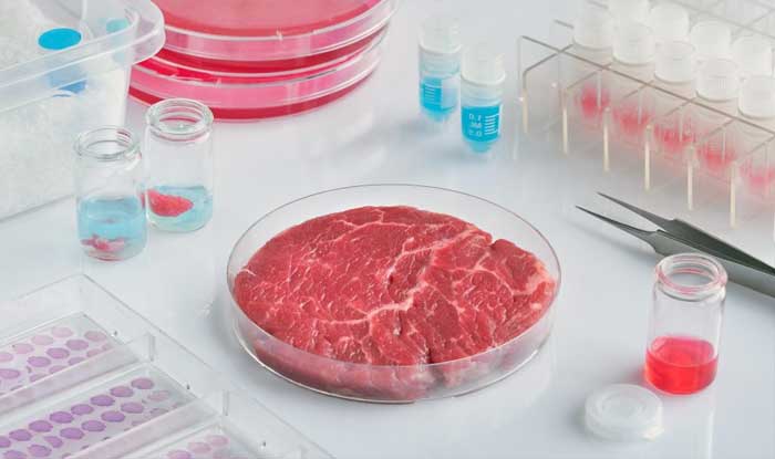 lab grown meats