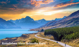 nikmati keindahan alam selandia baru
