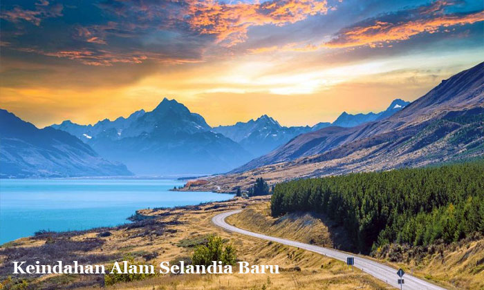 nikmati keindahan alam selandia baru